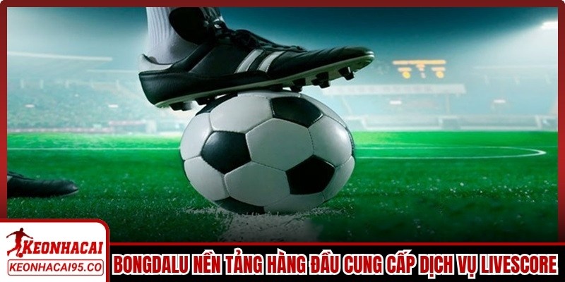 Bongdalu hiện là nền tảng hàng đầu cung cấp dịch vụ livescore uy tín