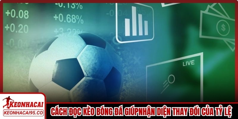 Cách đọc kèo bóng đá giúp người chơi nhận diện thay đổi của tỷ lệ trước trận đấu