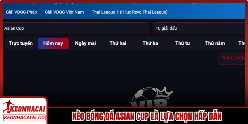 Kèo bóng đá Asian Cup là lựa chọn hấp dẫn cho người hâm mộ châu Á