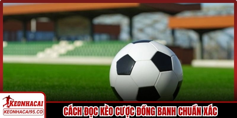 Cách đọc kèo cược đồng banh chuẩn xác cho người mới nắm bắt