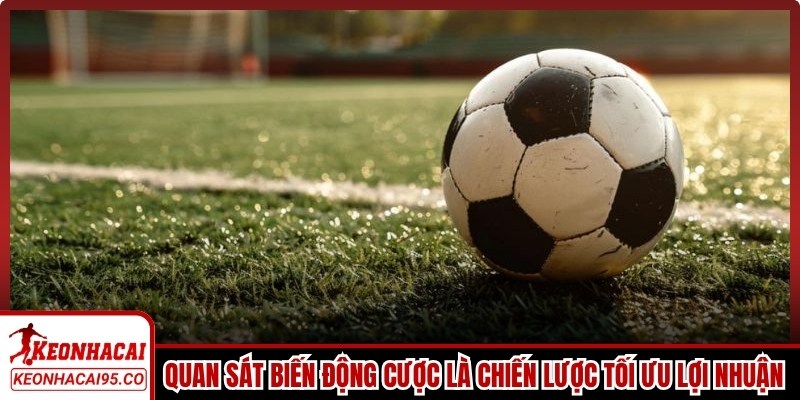 Quan sát biến động cược là chiến lược tối ưu lợi nhuận cho anh em