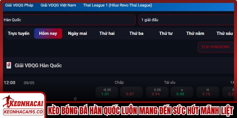 Kèo bóng đá Hàn Quốc luôn mang đến sức hút mãnh liệt cho người chơi