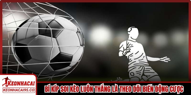 Bí kíp soi kèo luôn thắng cho anh em là theo dõi biến động cược