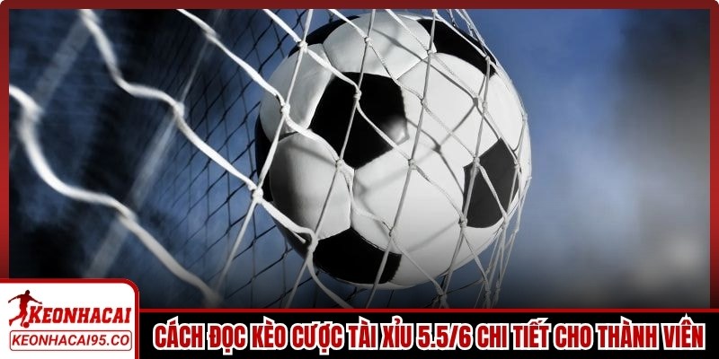 Cách đọc kèo cược tài xỉu 5.5/6 chi tiết cho thành viên