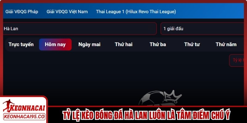 Tỷ lệ kèo bóng đá Hà Lan luôn là tâm điểm chú ý của giới mộ điệu