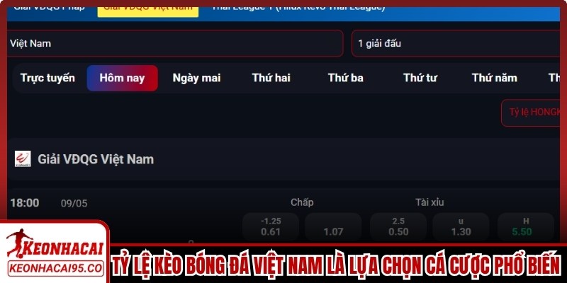 Tỷ lệ kèo bóng đá Việt Nam là lựa chọn cá cược phổ biến thị trường hiện nay