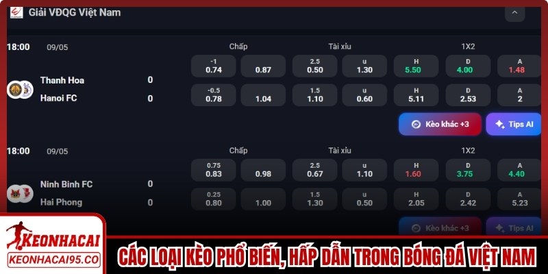 Các loại kèo phổ biến, hấp dẫn trong bóng đá Việt Nam
