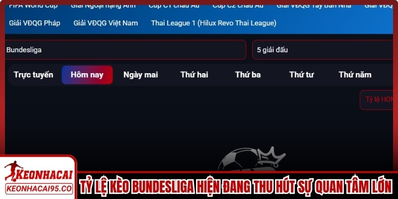 Tỷ lệ kèo Bundesliga hiện đang thu hút sự quan tâm lớn từ người tham gia