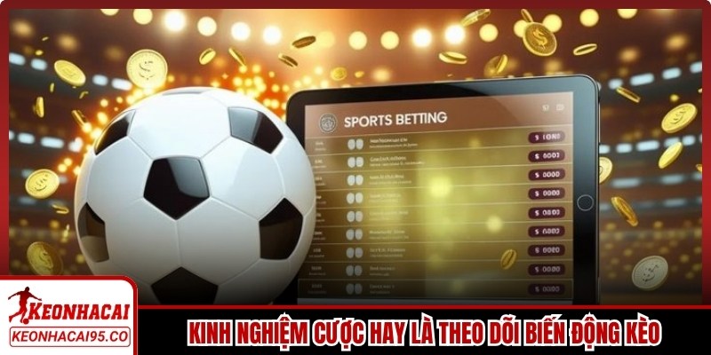 Kinh nghiệm cược hay cho anh em là theo dõi biến động kèo