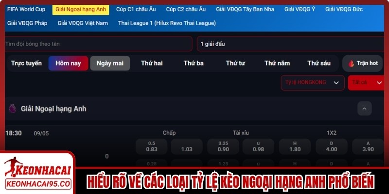 Hiểu rõ về các loại tỷ lệ kèo Ngoại hạng Anh phổ biến 2026